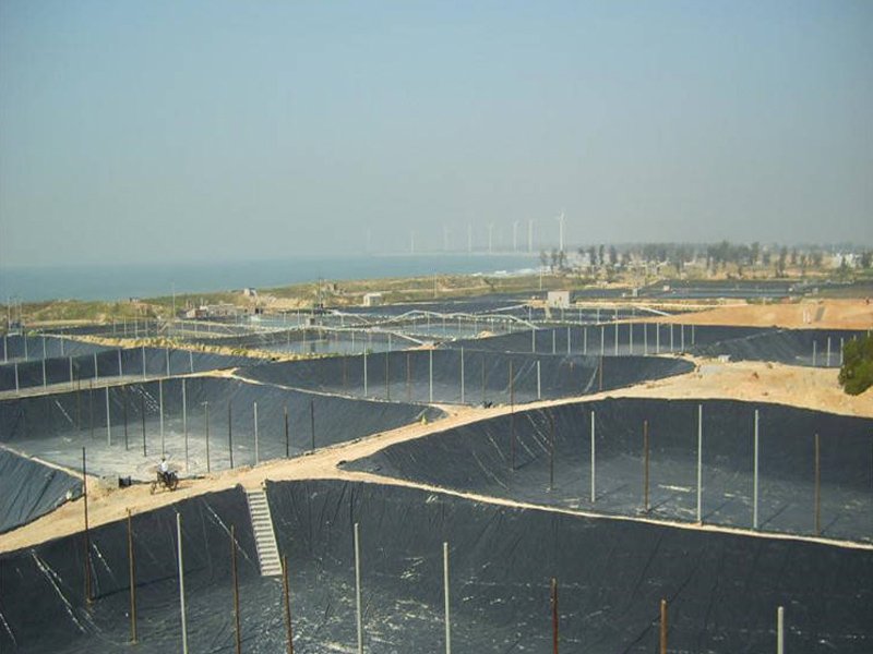 BPM High Density Polyethylene Geomembrane for Pond Lining Projects