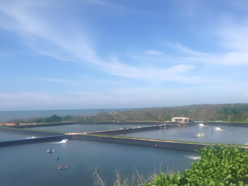 Best High Density Polyethylene Geomembrane for fish farm project