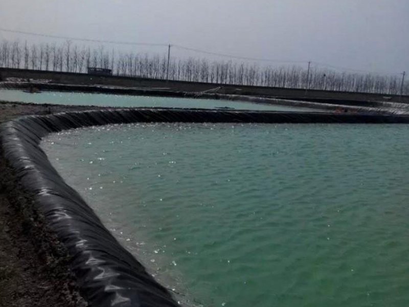 Geomembrane Liner Cost For Fishing Ponds