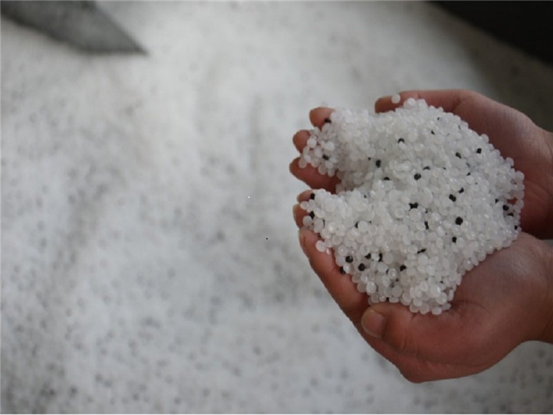 raw material cost