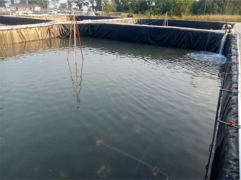 Geomembrana HDPE 40 Mil--BPM Geosynthetics