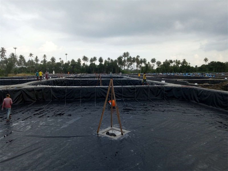 Geomembrana HDPE 40 Mil--BPM Geosynthetics