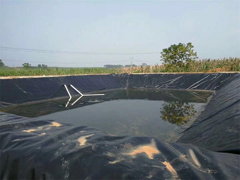 What Are the Advantages of PVC Liner Geomembrane?