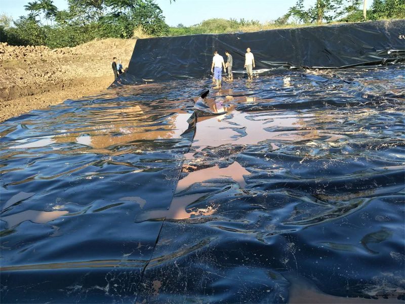 What Are Disadvantages Of PVC Geomembrane